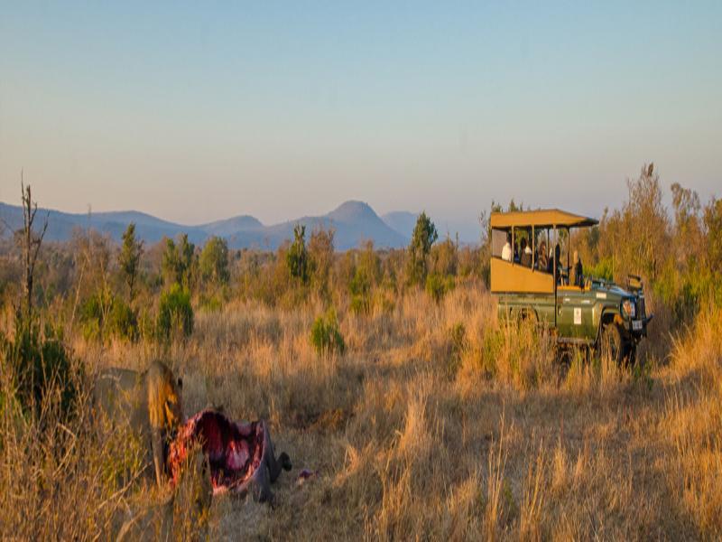 Отель Camp Shonga Krokodilbrug Экстерьер фото